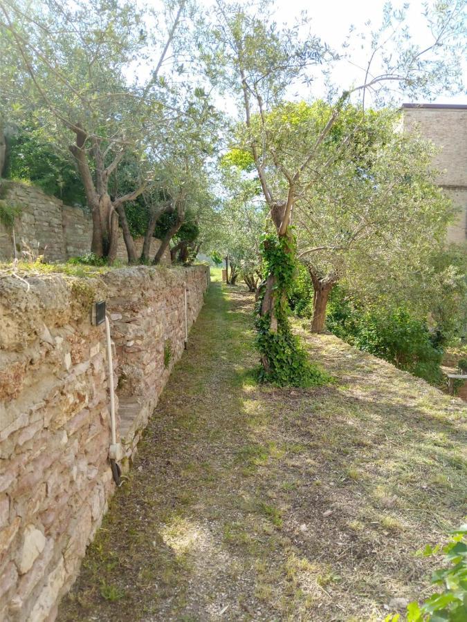 Residenza Messer Pajola أسيسي المظهر الخارجي الصورة