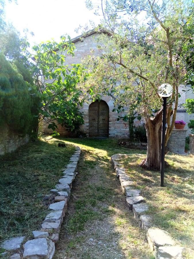 Residenza Messer Pajola أسيسي المظهر الخارجي الصورة